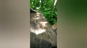 ? Самодельная воскотопка ?Воскотопка своими руками