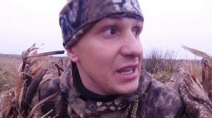 КЛАССНАЯ ОХОТА НА ГУСЯ 2023 - НА КУКУРУЗНОМ ПОЛЕ !!! Охота с духовым манком и лежачим скрадком.