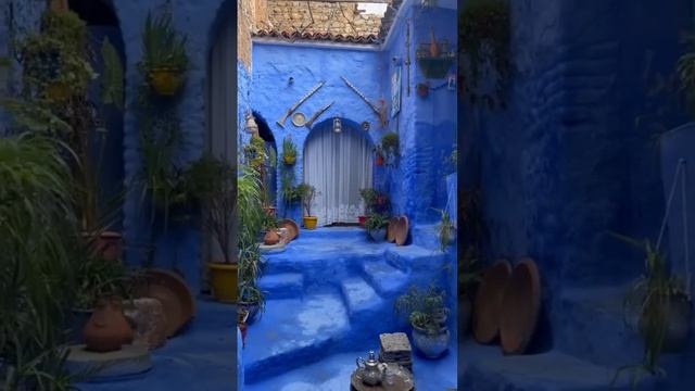 Explore chefchaouen day trip from Tanger #shorts #morocco