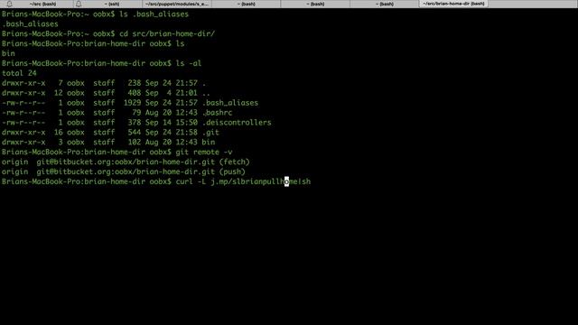 Breakfast Bash: Bringing it All Together - Home Directory in Git with Brian Whigham смотреть онлайн