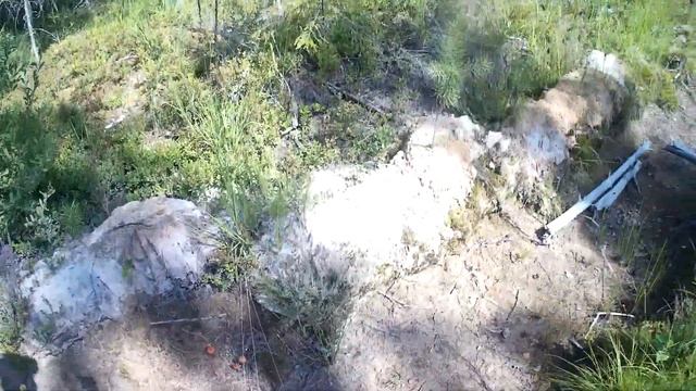 Красоты нашего района 60№ Осветления лесных культур,мы в Громово. смотреть онлайн