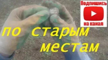 Поиск монет по урочищам.КОП по Московской области.