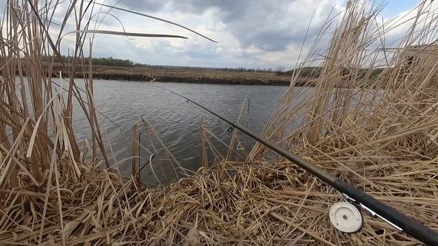 Карась не даёт присесть! Рыбалка на карася на оросительных каналах.
