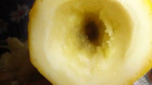 Фаршированный кабачок