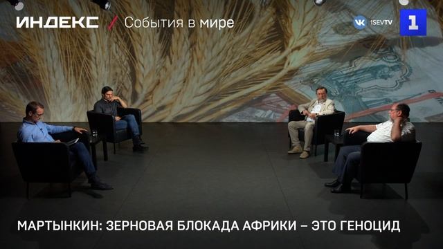 Мартынкин: зерновая блокада Африки – это геноцид