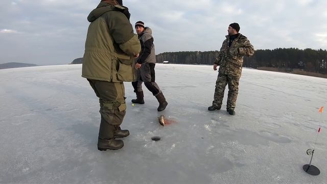 Зимняя рыбалка. Ловля щуки на жерлицы. Прикормка ПРОФМОНТАЖ.