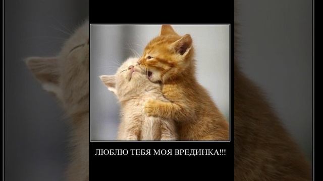 А с котом картина нас к себе манила #мем Смешные картинки / #приколы с озвучкой ? демотиваторы смотреть онлайн