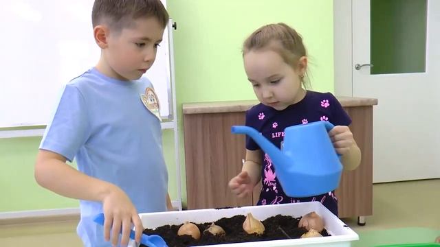 Детский сад №2 "Карусель".Проект "Я-волонтёр здоровья" смотреть онлайн