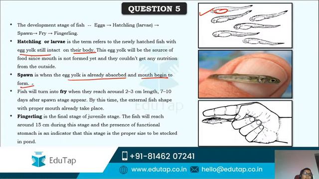 NABARD Grade A 2020 & 2021 | ARD | Fisheries | MCQs | Lecture 12 смотреть онлайн