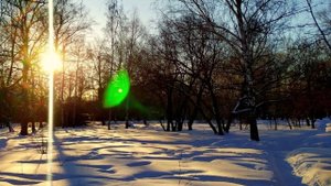 Утихомирить страсти человеческие цели представителей высокоразвитых цивилизаций находящихся на Земле