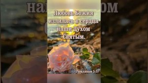 С добрым утром понедельника! Христианское пожелание!