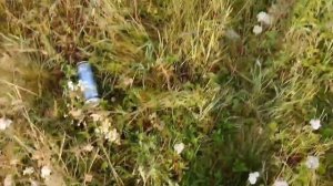 рыбалка на китайскую сеть ловушку//поймал карасей