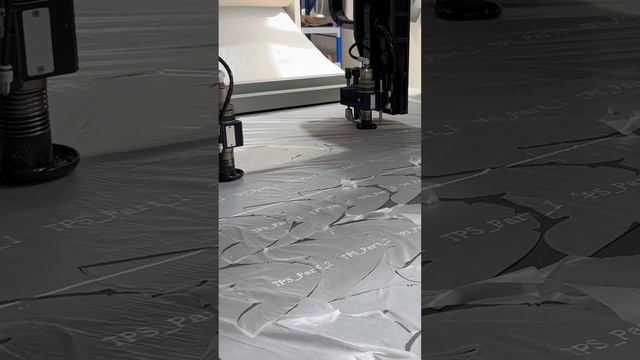 Revolutionize your shoe and leather product manufacturing process with the TPS cutting system