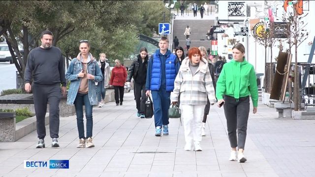 На Любинском проспекте в Омске исчезли фонари смотреть онлайн