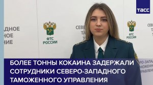 Более тонны кокаина задержали сотрудники Северо-Западного таможенного управления #shorts