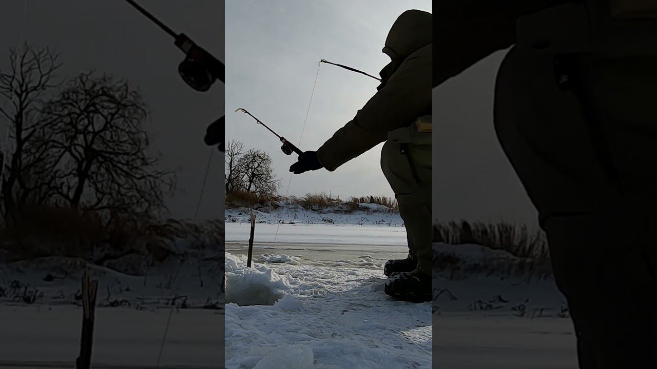 Рыбалка Щука #рыбалка #яспиннингист #первыйлед смотреть онлайн