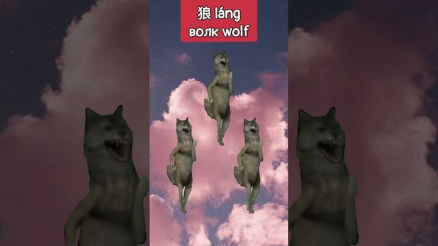 Волк 狼 láng - ichwillnicht - ихвильнихт мем