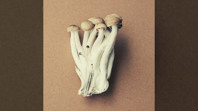 Музыка (Университет) смотреть онлайн