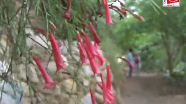 Зима в Эйлате смотреть онлайн