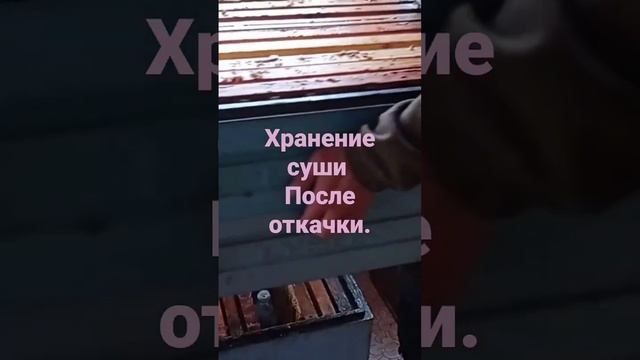 хранение суши после откачки.