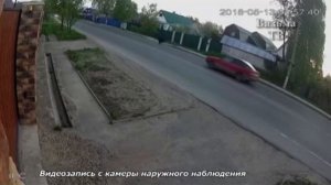 Медведь  в Вязьме!