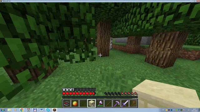 Играю в Minecraft на своём сервере Astra-Lisa.ddns.net:25565 смотреть онлайн