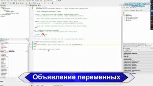 Язык программирования Delphi: комментарии, глобальные переменные и локальные переменные