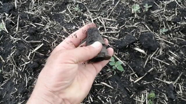 ПОЗДРАВЛЯЮ ПОГРАНИЧНИКОВ С ПРАЗДНИКОМ ?? СПАСИБО ВАМ МУЖИКИ ✊ смотреть онлайн