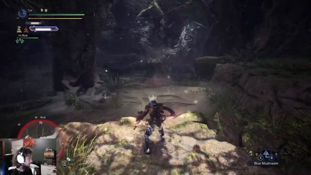 Hunting Every Monster in Monster Hunter World (Mostly) Only Using Dual Blades Part 17 смотреть онлайн