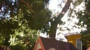 First CLASS 5 дорога до пляжа