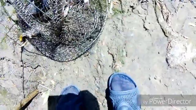 РЫБАЛКА НА КОРМУШКИ, ДОНКИ... ПОЙМАЛ ГОЛАВЛЯ. смотреть онлайн