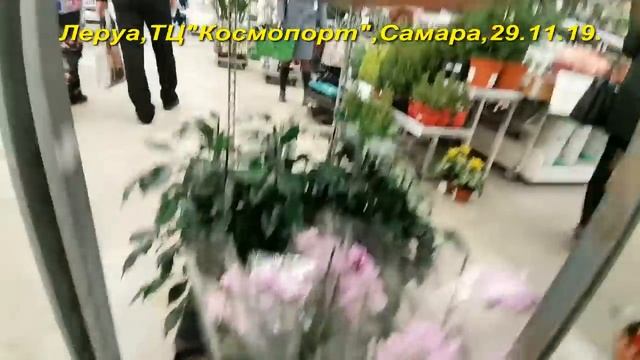 Леруа:ЗАВОЗ прекрасных ОРХИДЕЙ (редкие желтые миди!) смотреть онлайн