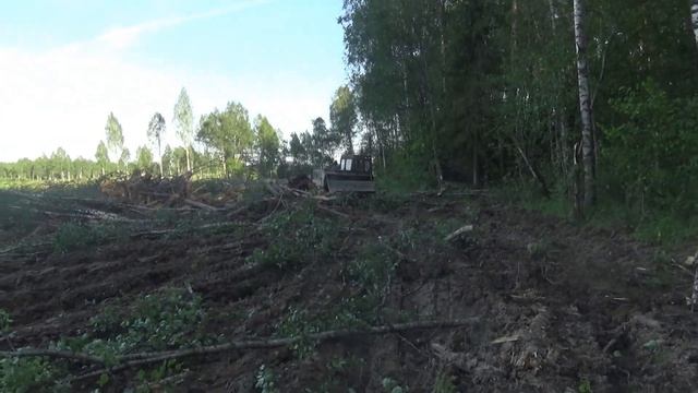 Заготовка ЛЕСА на волоках часть 2. Сломало палец на гусенице. Трелевка леса. ТЛТ-100.....