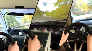 Dirt Rally+VR+Hori Racing Whell Apex