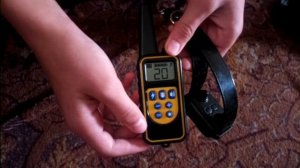 Собака Не Слушается/Убегает/Что делать/Простое Решение Всех Проблем/Dog Won't Listen