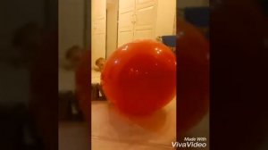 Огромный воздушный шар