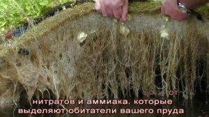 Плавающие острова для пруда