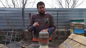 Как приучить пчел к поилке на пасеке. Почему пчелы не пьют воду с поилок?
