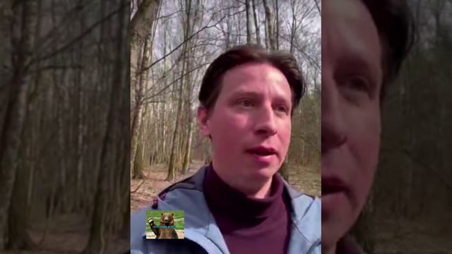 Весенние рекомендации