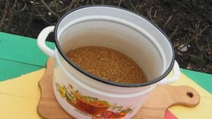 Брага на пшенице без дрожжей