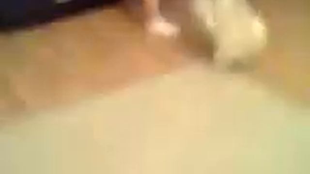 Жарит смотреть онлайн