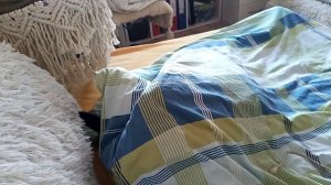 Дома тепло, а кошка залезает под одеяло. ПОЧЕМУ?