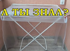 ТЕПЛИЦА-ПАРНИК из сушилки для белья???