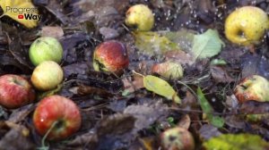 Ленивый Компост Прямо На Грядке: Делаем Правильно!