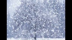 "Кленовый лист." исп. Николай Караченцов