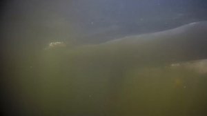 Яхта Луч. Подводная съёмка.