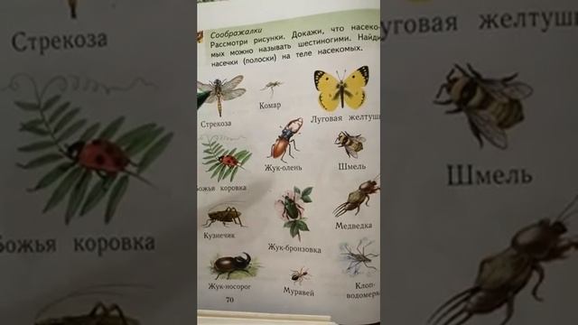 Урок окружающего мира. 1 класс. 24 апреля 2020. смотреть онлайн