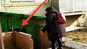 ОДНОГО КОТЕНКА ЗАДАВИЛИ, УДАСТСЯ ЛИ НАМ ПОЙМАТЬ ВТОРОГО?