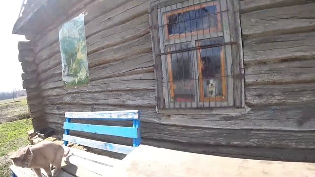 Пора включать инкубатор Сельские будни смотреть онлайн