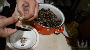 Наш рецепт приготовления улиток